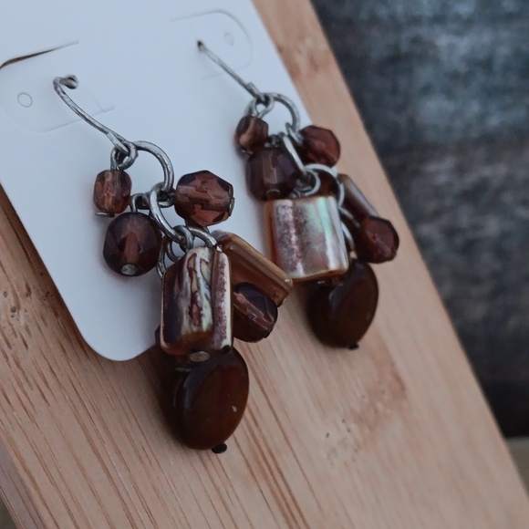 Multi Colored Brown Stone/Glass Dangle Earrings - Picture 8 of 9